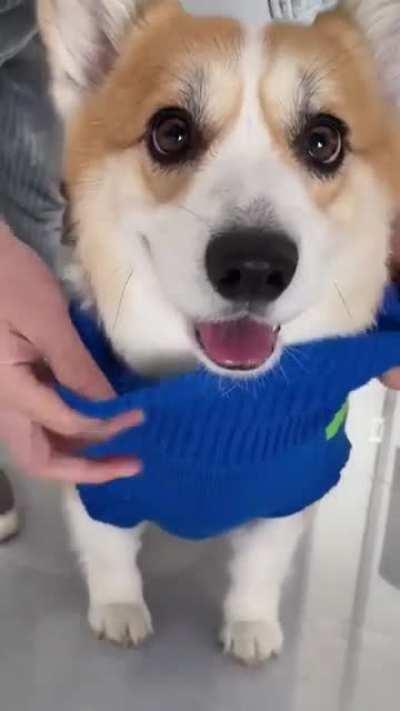 Christmas is coming✨