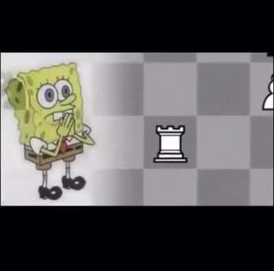 👩🏿‍🦲🥑🇦🇱🐧🤺