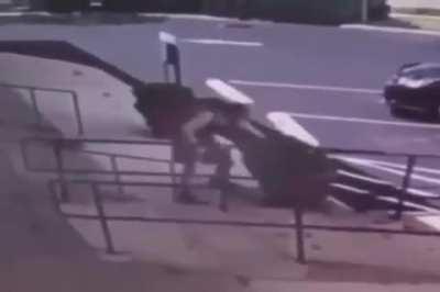 PvZ got so popular they made it IRL!!1!