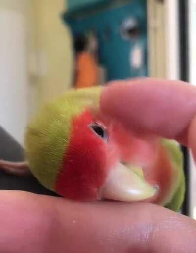 Yeeeees....perfect....