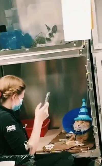 Behind the scenes at the vets office