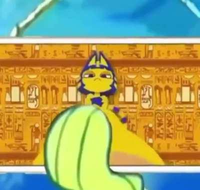 Hehe funny cat dance