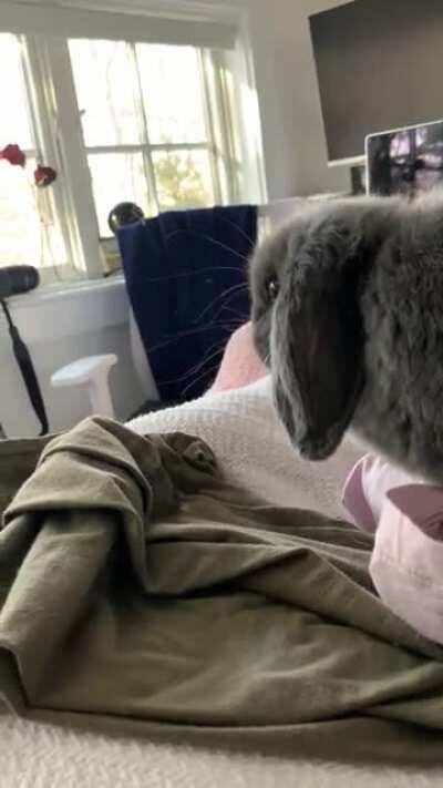 0/10 laundry folding service