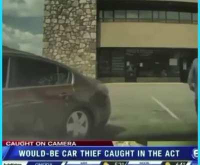 Would-be car thief wins stupid prizes.