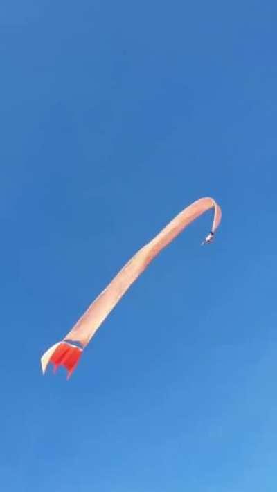 Kid goes flying with a kite