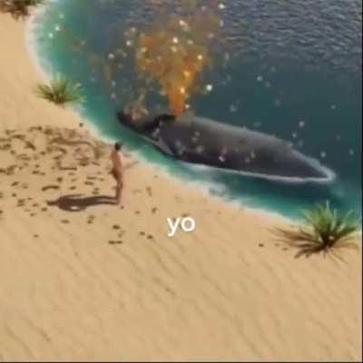 [Request] how much water would you have to cry to fill up a pool for a whale to live in, and how long would it take?