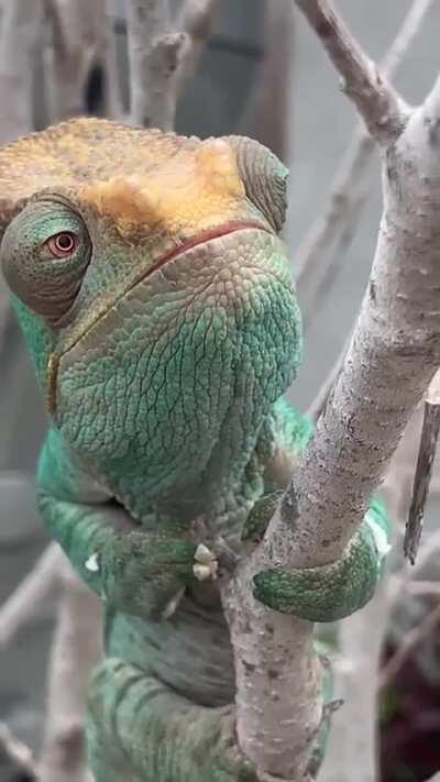 Just keeping an eye on things.