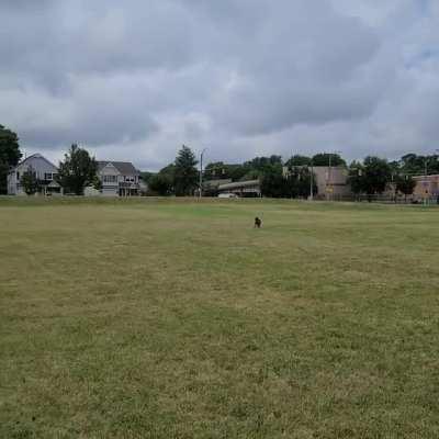 My Dog is very passive aggressive.