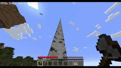 Most normal birch tree be like