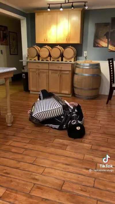 Syphus breaking into the studio like...