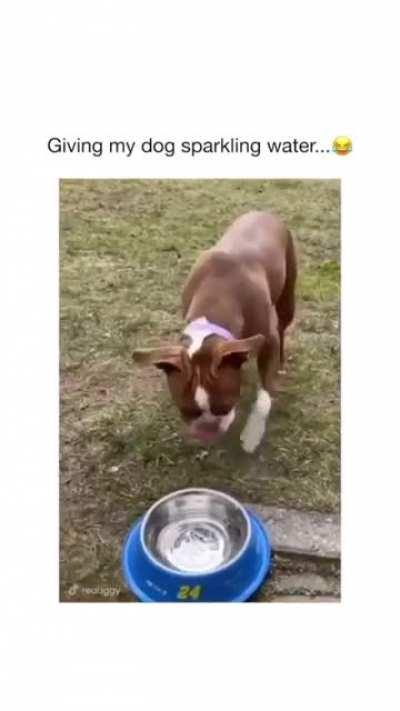 What a cute reaction.🥺