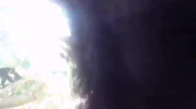 NO! DON'T DO IT MONKE!