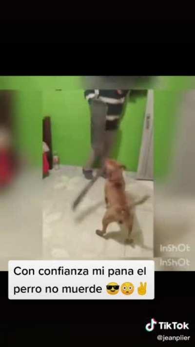 Perro machetero🤺