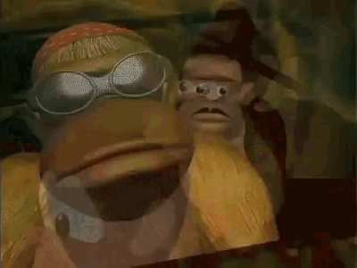 [donkey Kong country]