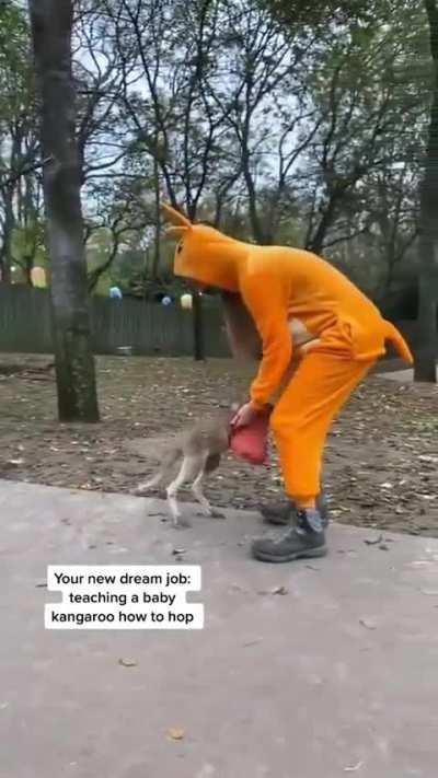 When you realise your dream job you never knew you wanted exists