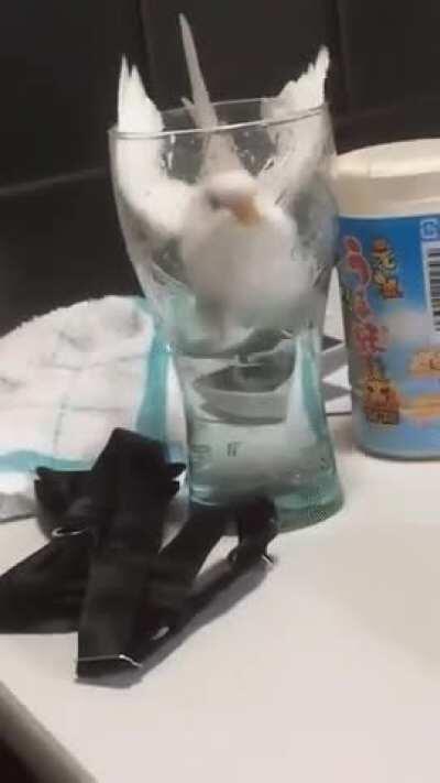 Just gonna take a quick sip