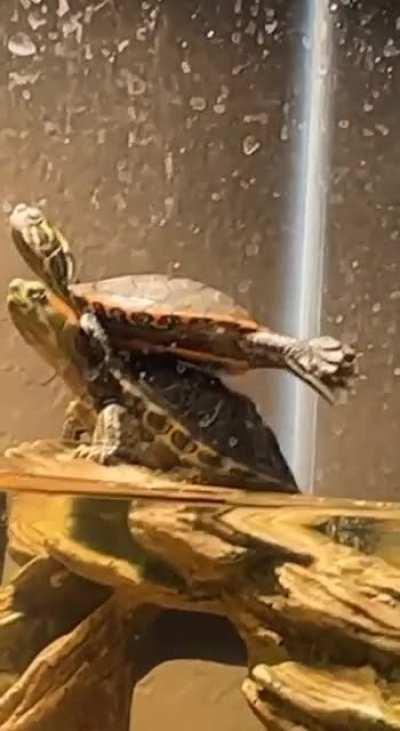 Эври найт ин май дримс, ай си ю, ай йил ю...... Го он!