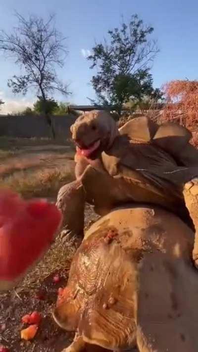 wow that's interesting 😮 af 👍