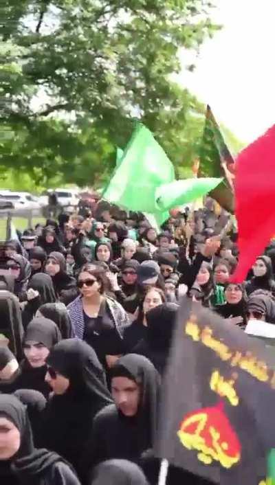 Massive rally in Dearborn Michigan to protest the burning of the Quran in Sweden