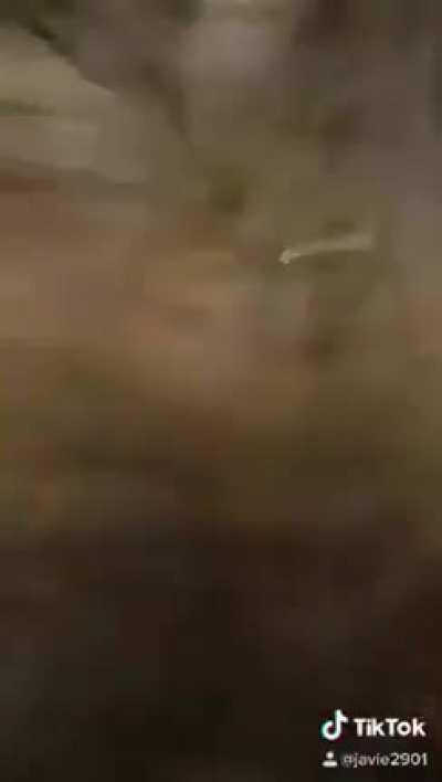 Standing in front of a train.