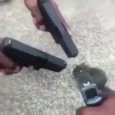 NO 😭 PLEASE 🥺 DON'T HURT THE BAELZS WHERE I GRIND MY PP😭😭🍆😭