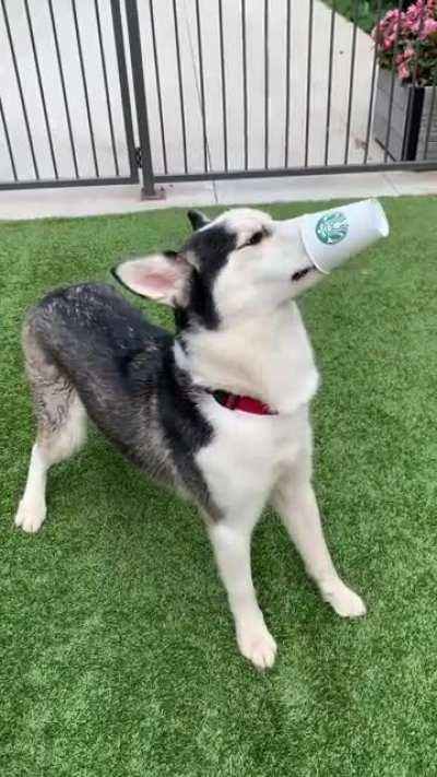 He’s beauty, he’s grace.