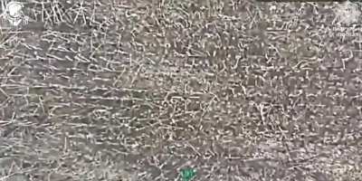 Drone operator «Zaluzhniy», of the Consolidated Brigade «Predator», Patrol Police Department, found a wounded russian who was begging for mercy and wanted to surrender. He was supplied with water, food and medicine, but on his crawl to Ukrainian lines he 