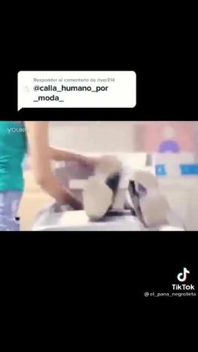 Dile adiós al racismo😎... Ahora solo faltan los amarillos de mierd..