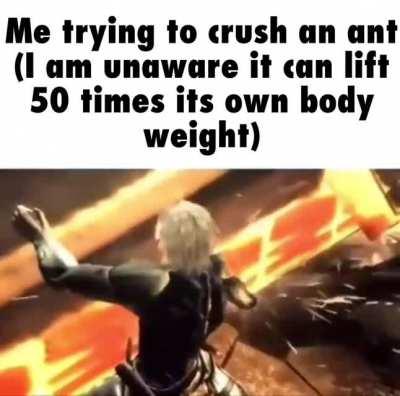 That’s one strong ant