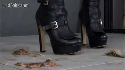 Red again as requested.