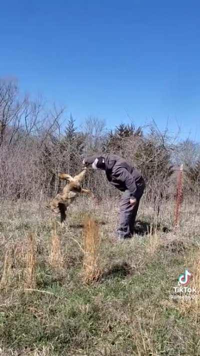 Coyotes may not be loved but they are alive. Good man.