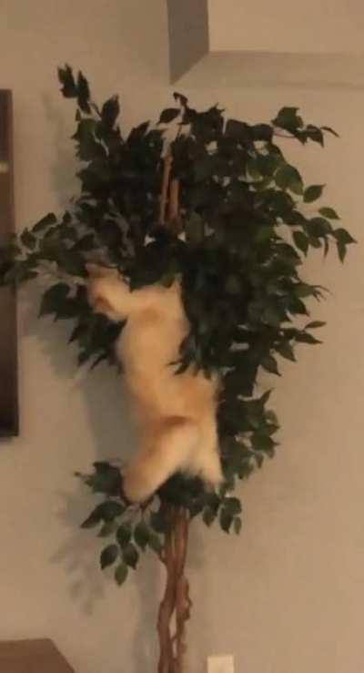 Call the fire department!