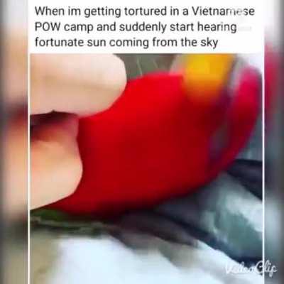 Когда тебя мучают во вьетнамском лагере военнопленных, но тут в небе начинает играть музыка