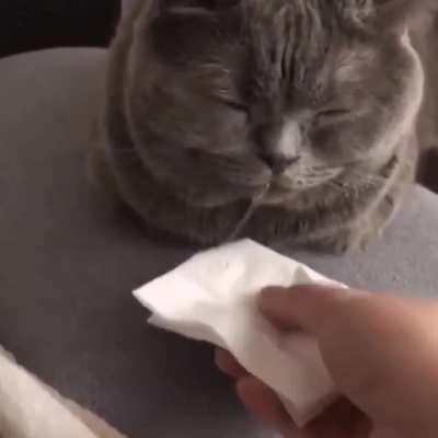 YOU'RE MESSING UP MY COUCH!!!