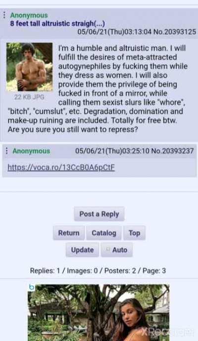 I have been using this board since 2016. This is the best thing I've ever seen in it. Vocaroo anon has my devotion now.