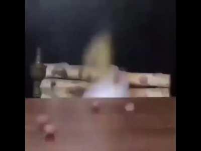 Posting something to keep the sub alive #1