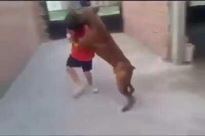 Chou vs roger.mp4 pa up vote guys