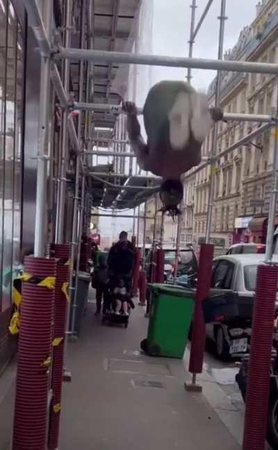 Isn’t this a crime ?