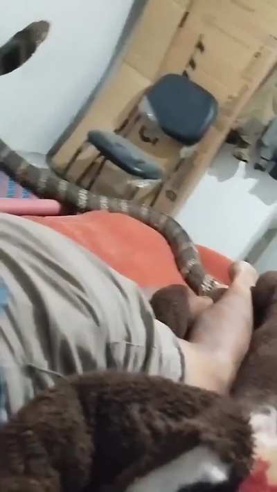 King Cobra suddenly entered a house in Uttarakhand ☠️☠️☠️