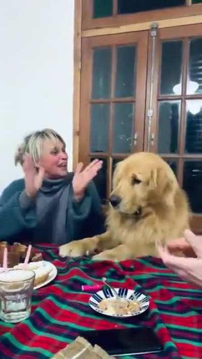 doggo vibing to happy birthday!