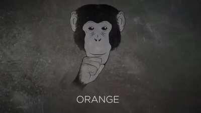 gib orang