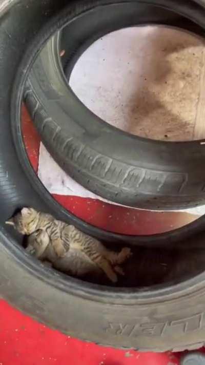 Sorry, the tire service is not open today