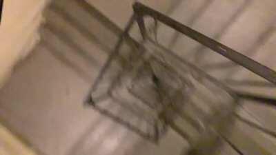 pyrocynical - Video #3612