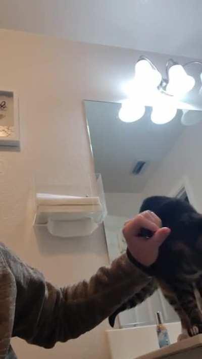 can't think of a more fitting sub for this.