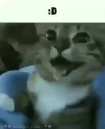 To all dream[phobds/ naxzis