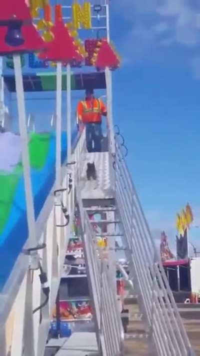 Doggo enjoying the slide