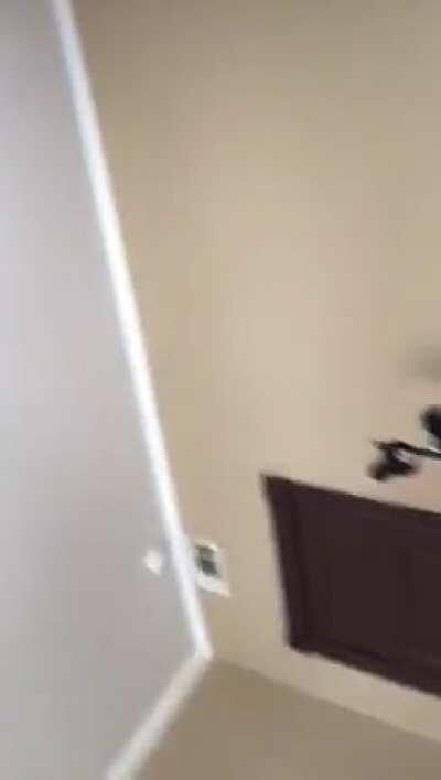 Dm for nik Dropbox $$$