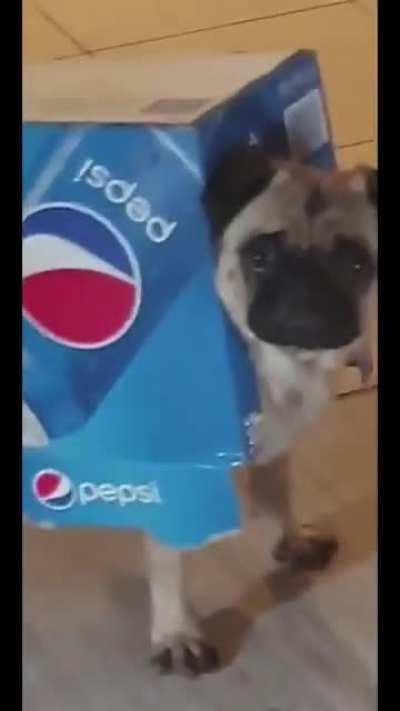 Ride now, Ride to Gondor.