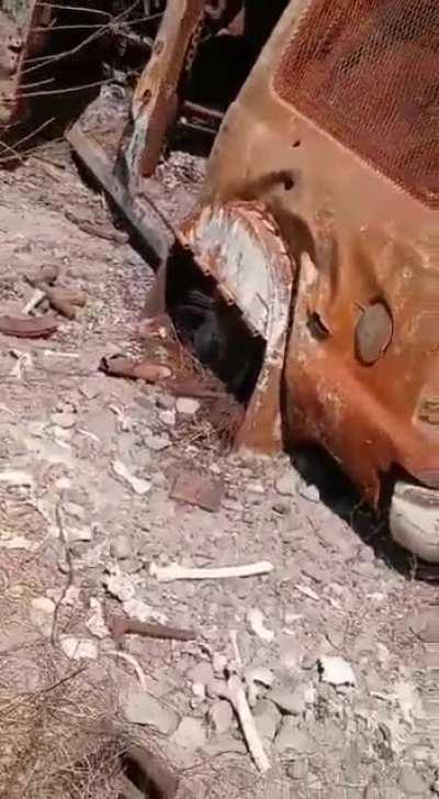 A stroll through the wasteland