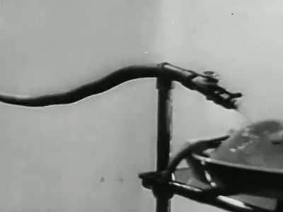 1940- Soviet Russian doctors preform a bizarre and terrifying experiment: reviving a deceased dogs head successfully using an autojektor. The human version of the autojektor device can be seen on display today at the Bakulev Scientific Center of Cardiovas